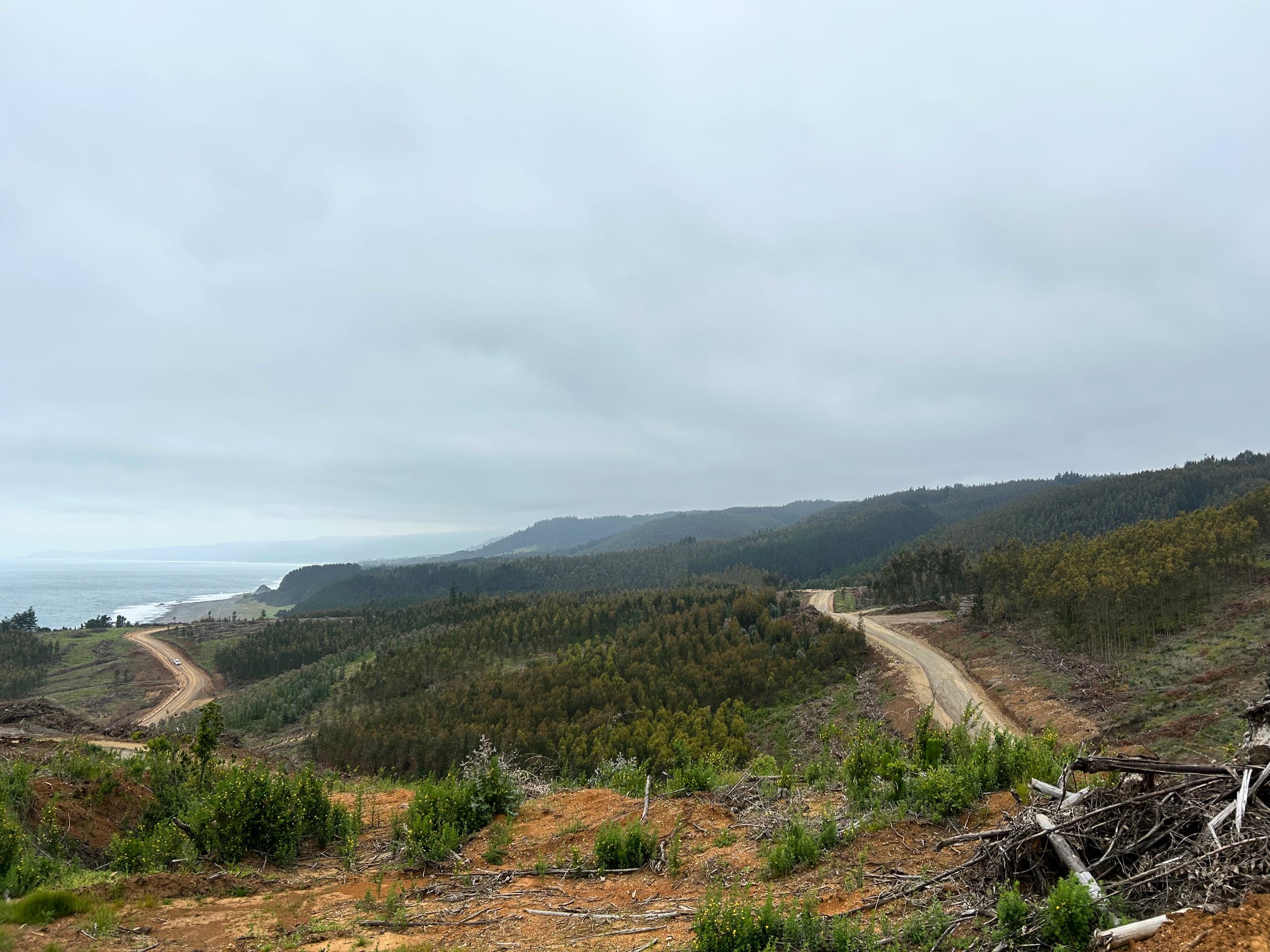 Costa Montezorro